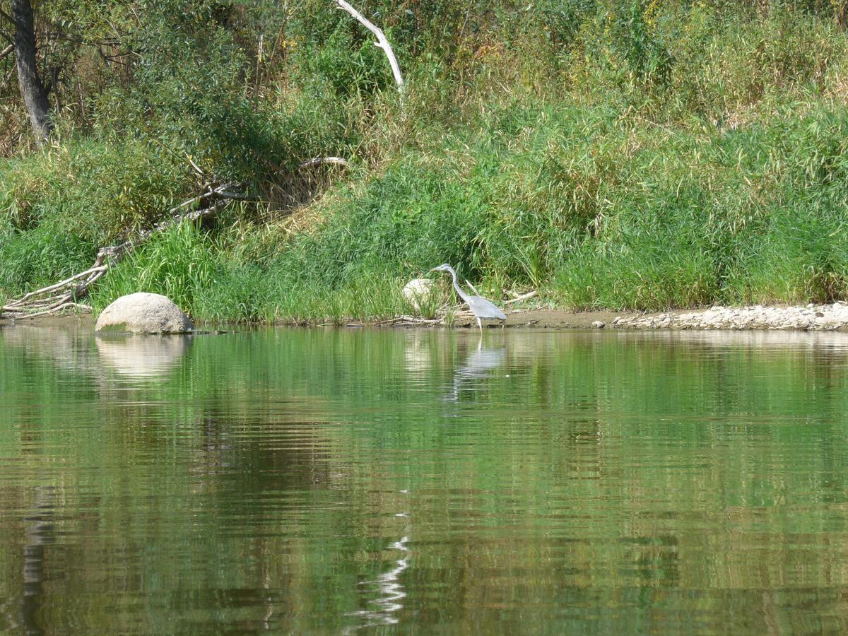 Impresja - Pokoje Goscinne Na Nadbuzanskich Lakach Borsuki Exterior foto